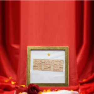 Rog Nivaran Yantra Rs. 20000